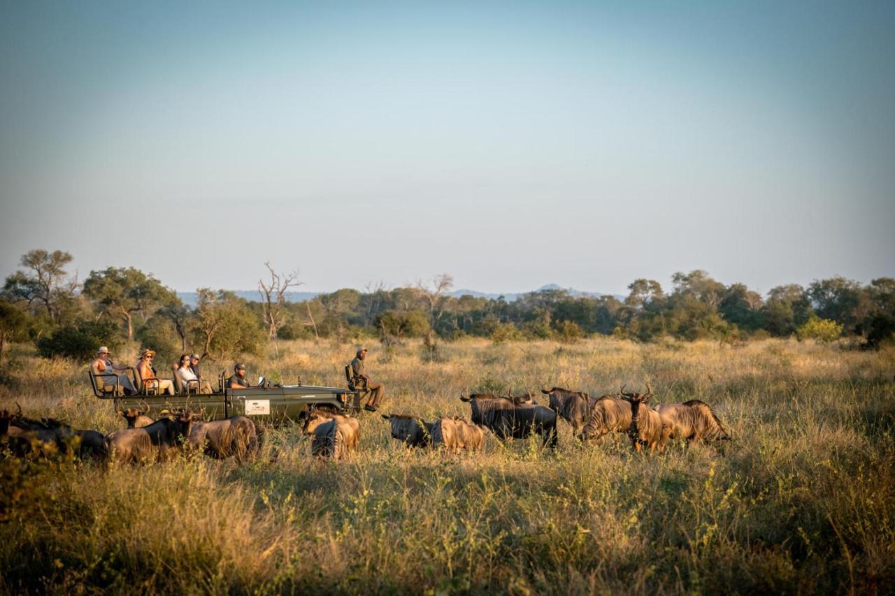 Umkumbe Bush Lodge - Luxury Tented Camp Sabi Sand Game Reserve Exteriér fotografie