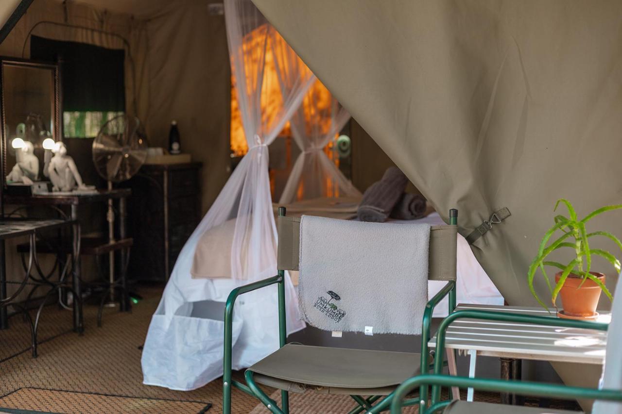 Umkumbe Bush Lodge - Luxury Tented Camp Sabi Sand Game Reserve Exteriér fotografie